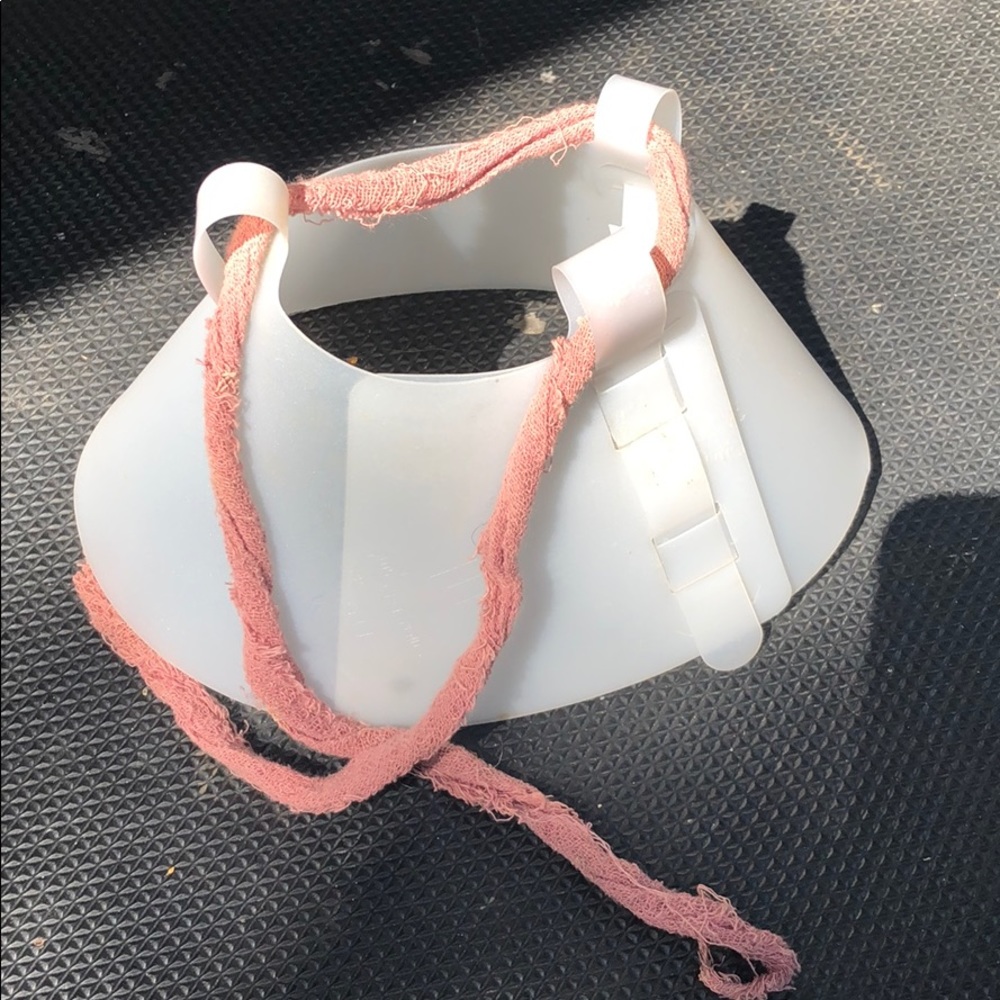 Cone for small dog or cat.
